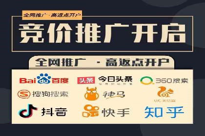 竞价代运营实战案例深度剖析